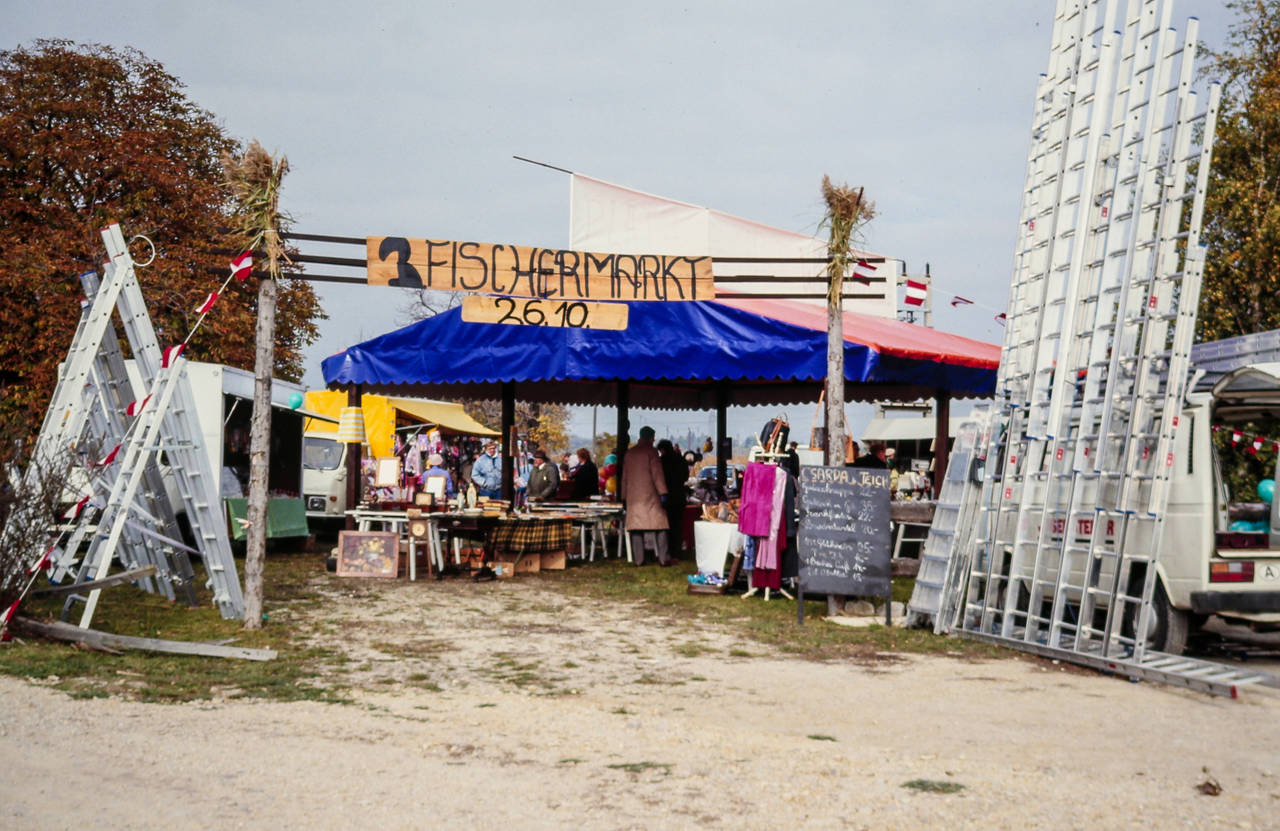 Ablassen, Ausfischen, Fisch, Grupp, Markt, Personen, Schönauer Teich, Stand